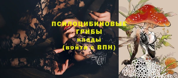 МДПВ Алексин
