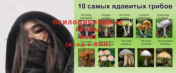 прущие крисы Абинск