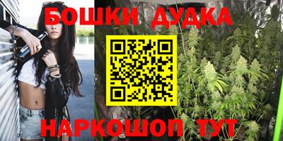 индика Нарткала