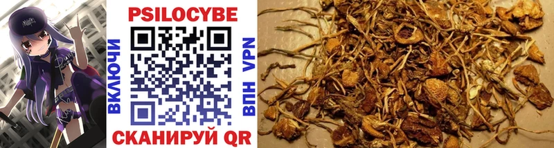 Псилоцибиновые грибы MAGIC MUSHROOMS  Сочи 
