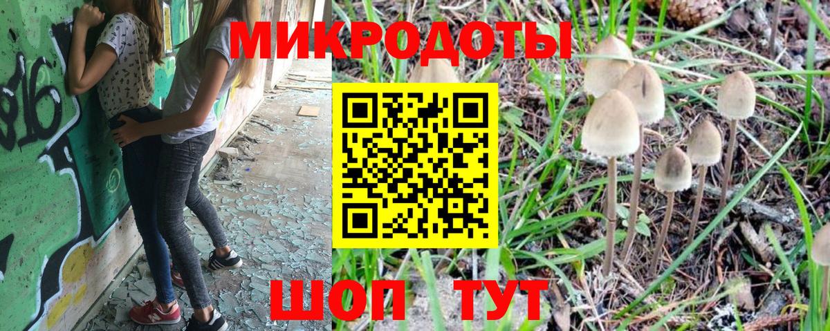 Галлюциногенные грибы Cubensis Сочи