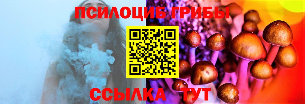 Галлюциногенные грибы прущие грибы  Вход с VPN  Псилоцибиновые грибы Cubensis  Сочи 